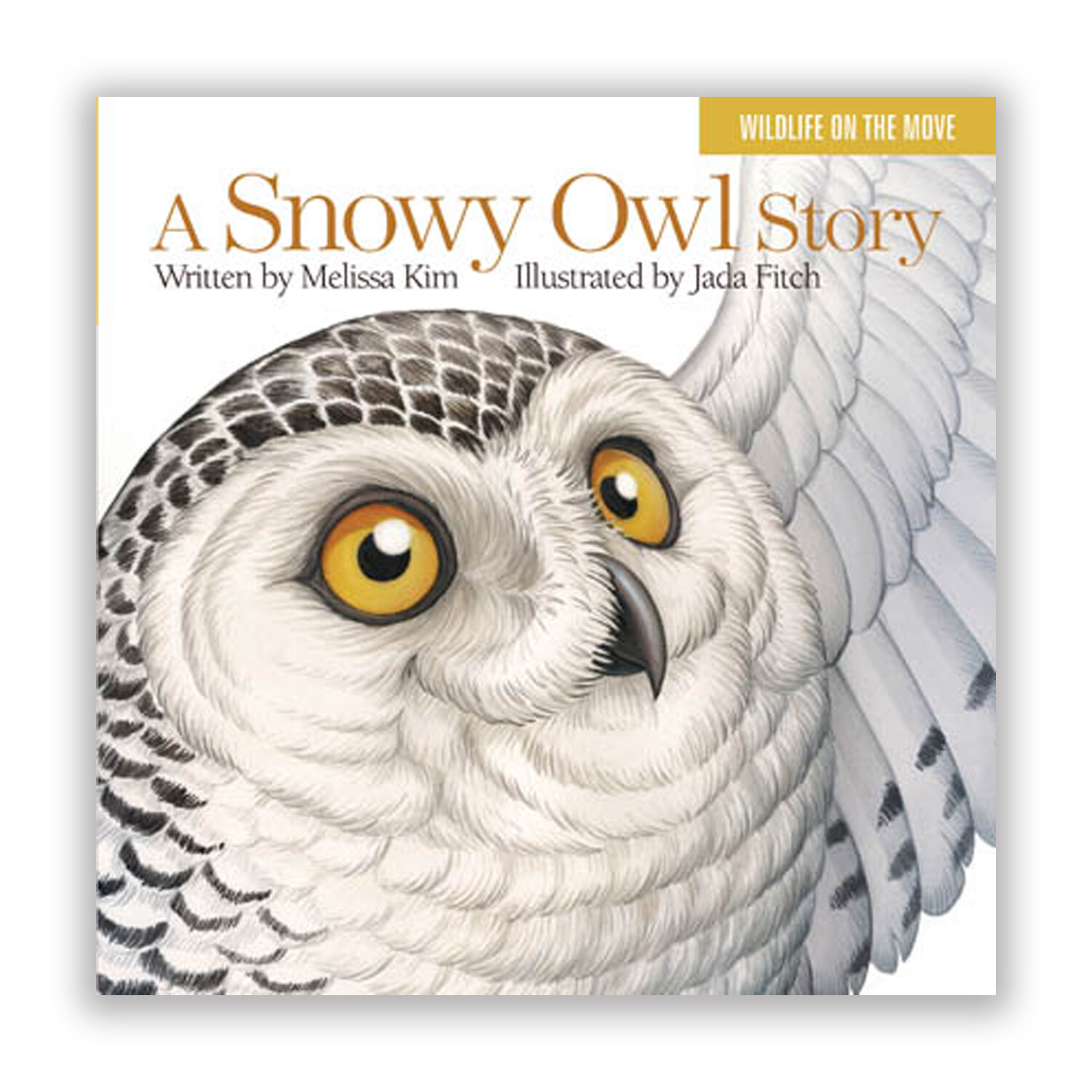 A Snowy Owl Story "Board Book"