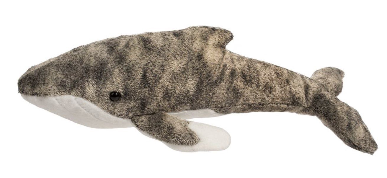 Archie Humpback Whale