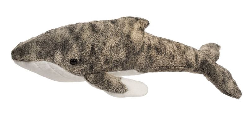 Archie Humpback Whale