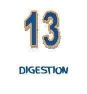 13   Aromiel Digestion