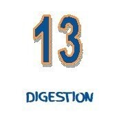 13 Aromiel Digestion