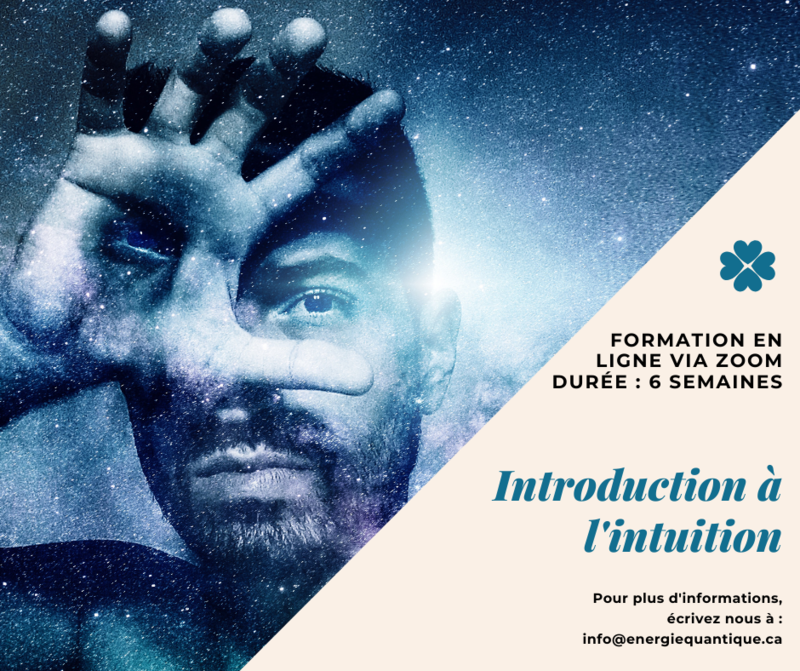 Introduction à l'intuition (6 semaines de formation en ligne sur Zoom) Introduction à l'intuition (6 semaines de formation en ligne sur Zoom)