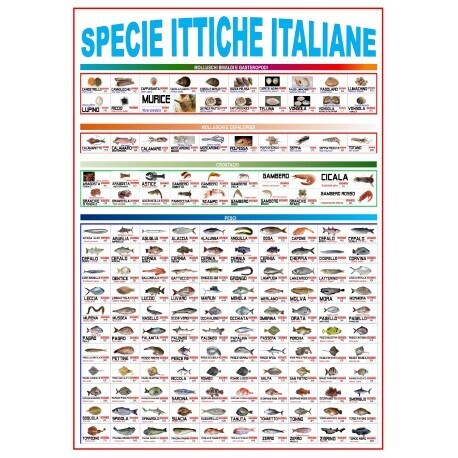 POSTER PESCHERIA FORMATO 70X100
