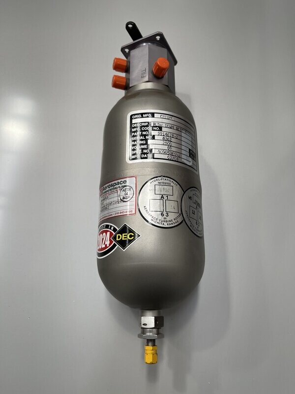 BOTTLE ASSY, EMERGENCY PNEU LG