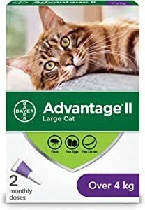 Bayer Advantage II Flea Treatment for Small Cats >4 Kg - 2 dose pack