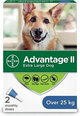 Bayer Advantage II Large Dog  >25kg -- 2 Dose Pack