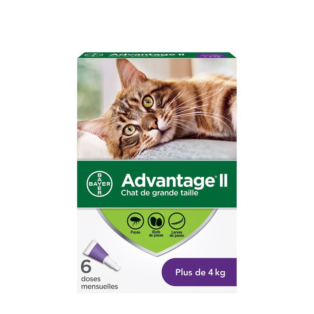 Bayer Advantage II Flea Treatment for Small Cats >4 Kg - 6 dose pack
