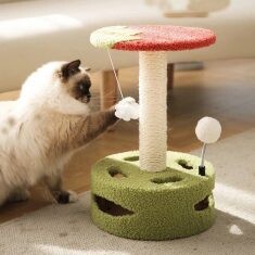 Bow Bow Dow Dow Garden Jumping Toy Cat Tree