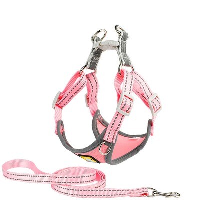 Cool Mesh Harness for Teacup Pups