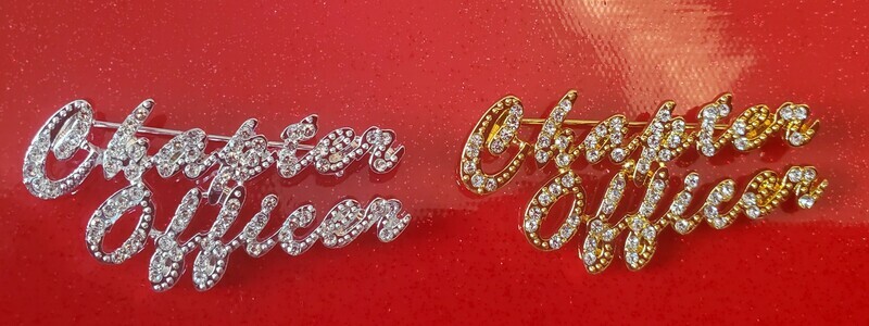 Chapter Officer Lapel