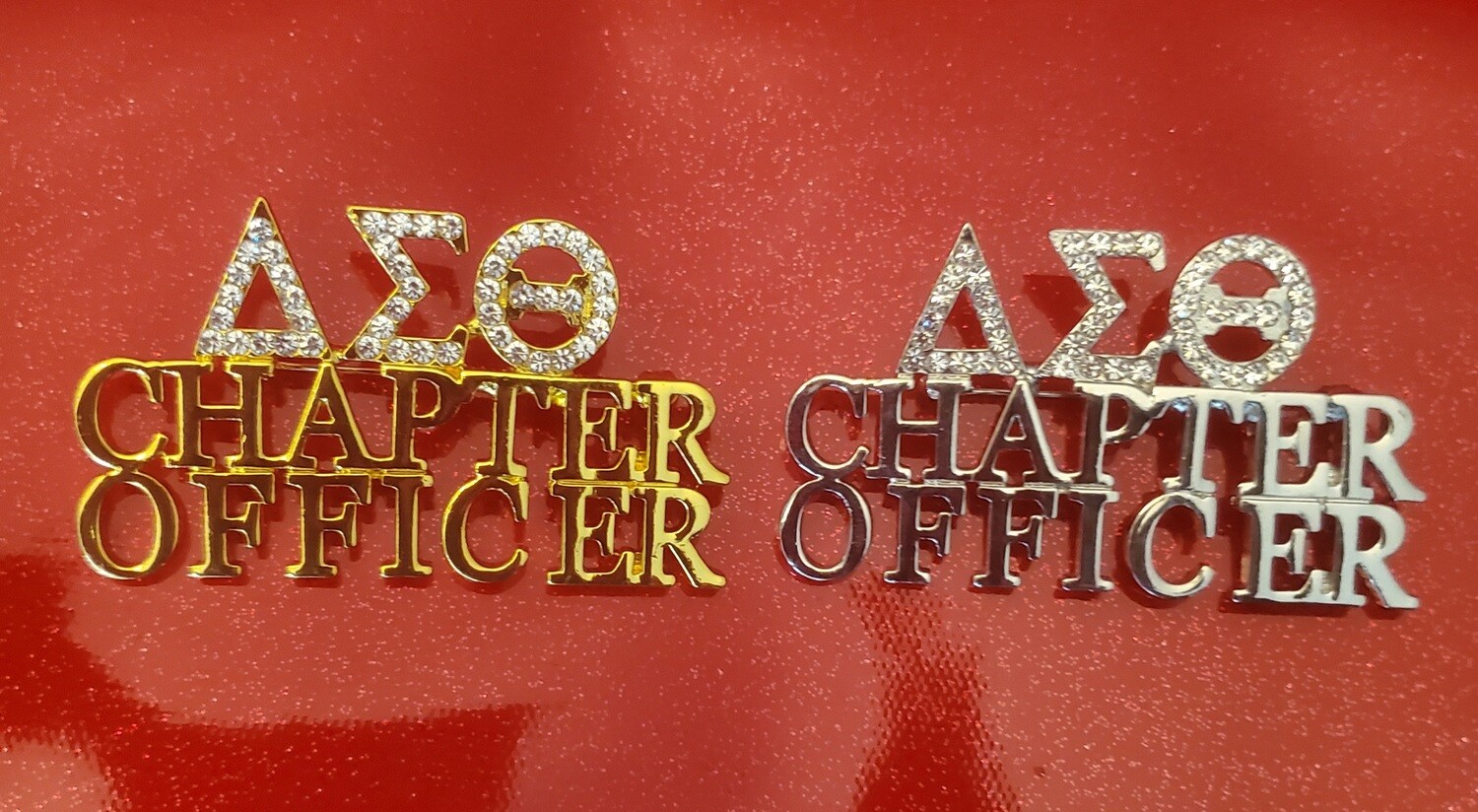 Chapter Officer Lapel