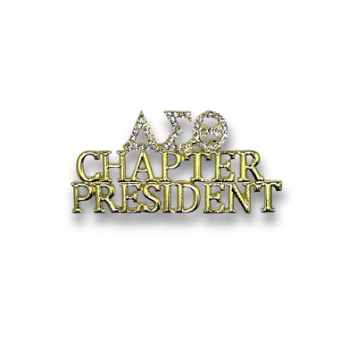 DST Rhinestone Chapter President