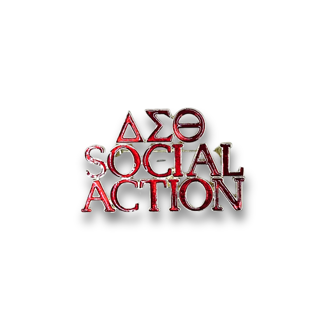 DST Crimson Silver Social Action Lapel