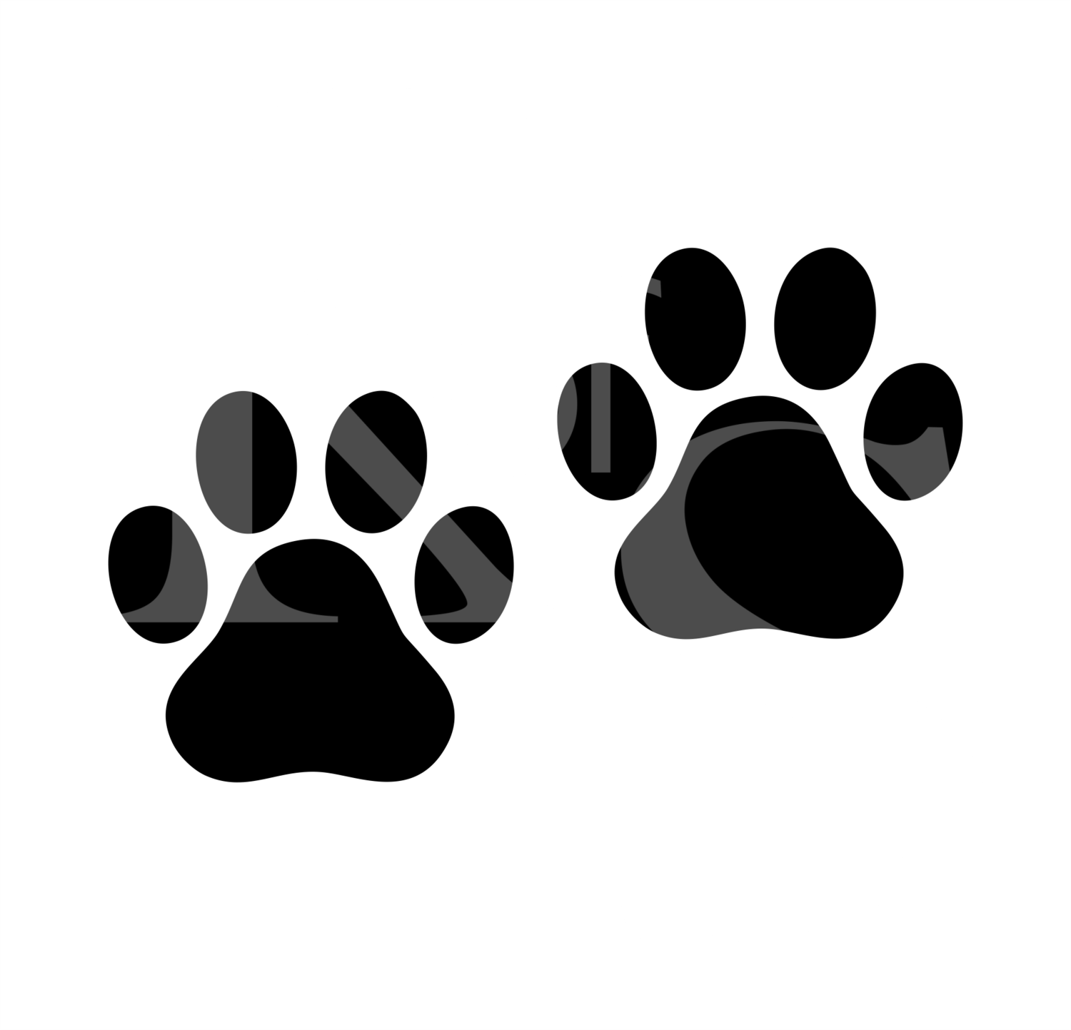 Paws SVG