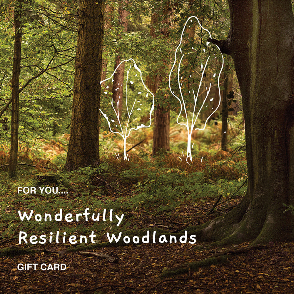 Wonderfully Resilient Woodlands £10 - £100