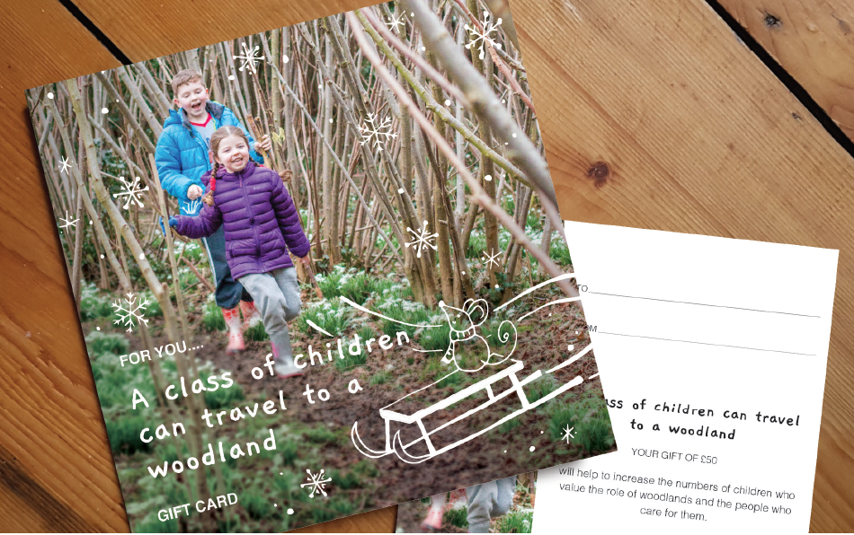 Christmas - Travel to a Woodland