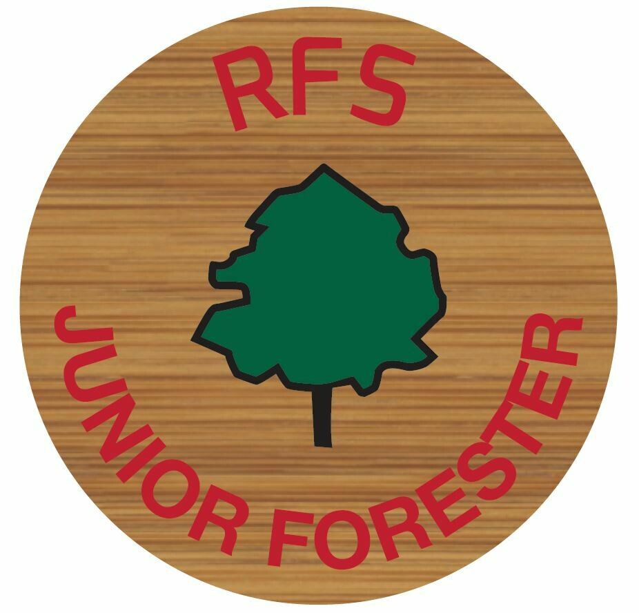 Junior Forester Pin Badge