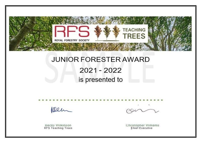Junior Forester Award Certificate