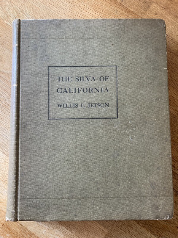 'The Silva of California' by Willis L Jepson