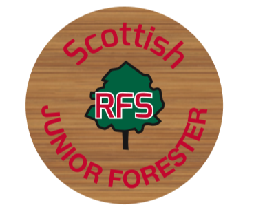 Scottish Junior Forester Pin Badge