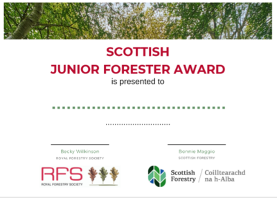 Scottish Junior Forester Award Certificate