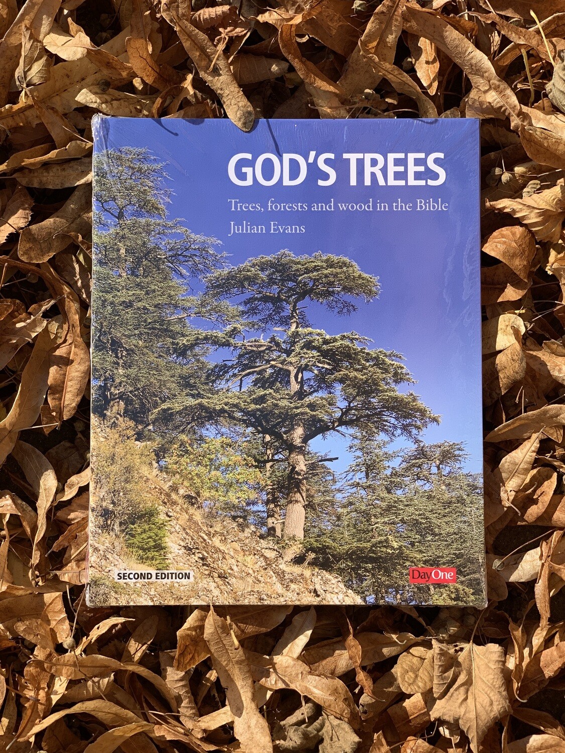 &#39;God&#39;s Trees&#39; by Professor Julian Evans