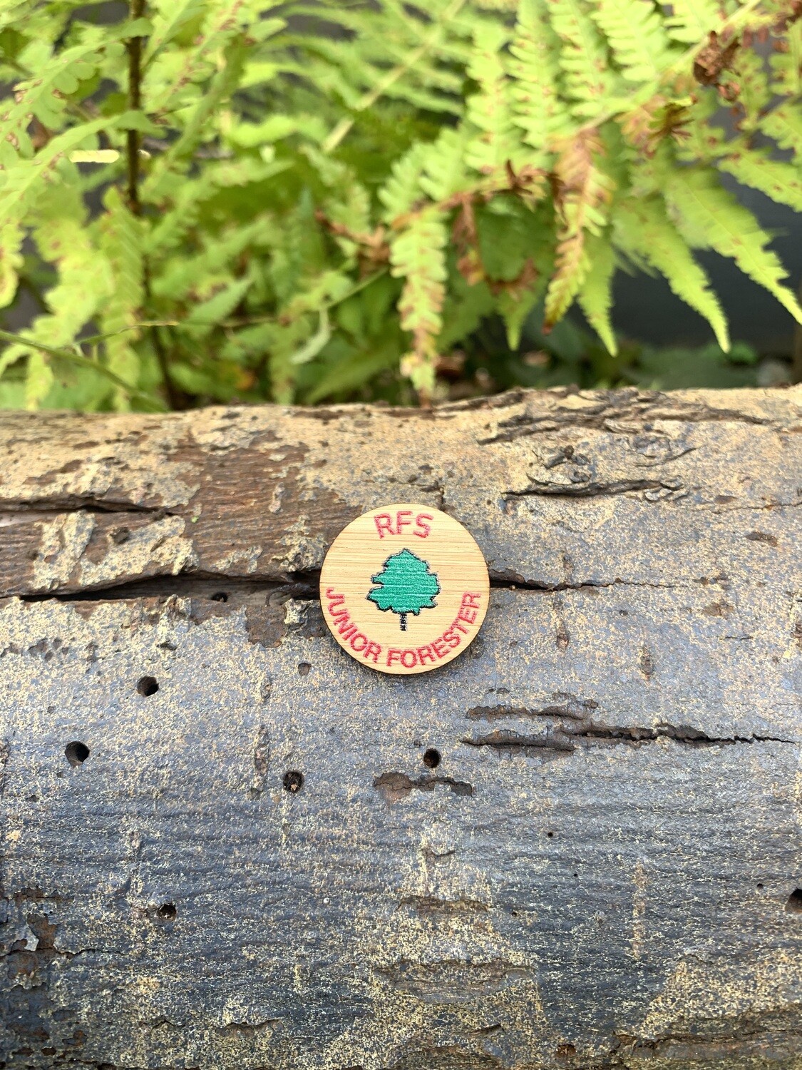 Junior Forester Pin Badge