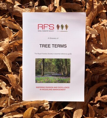 RFS - Tree Terms (2019 Edition)