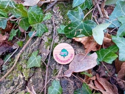 Welsh Junior Forester Pin Badge