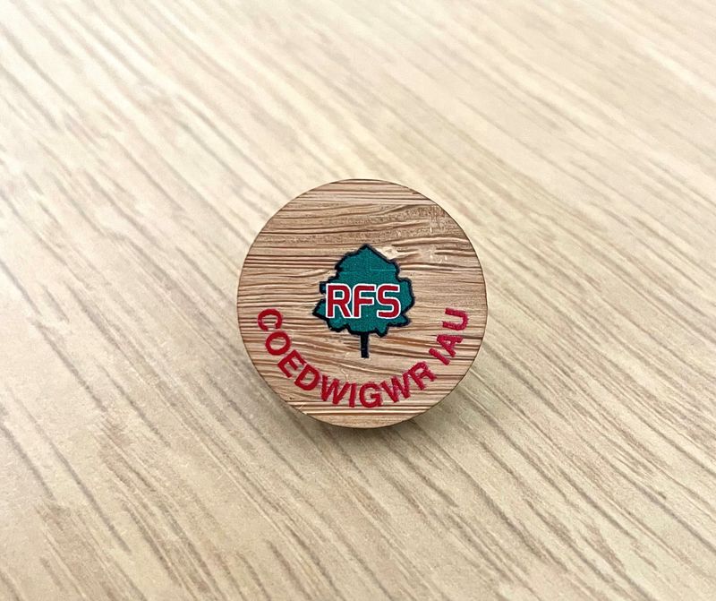 Welsh Junior Forester Pin Badge