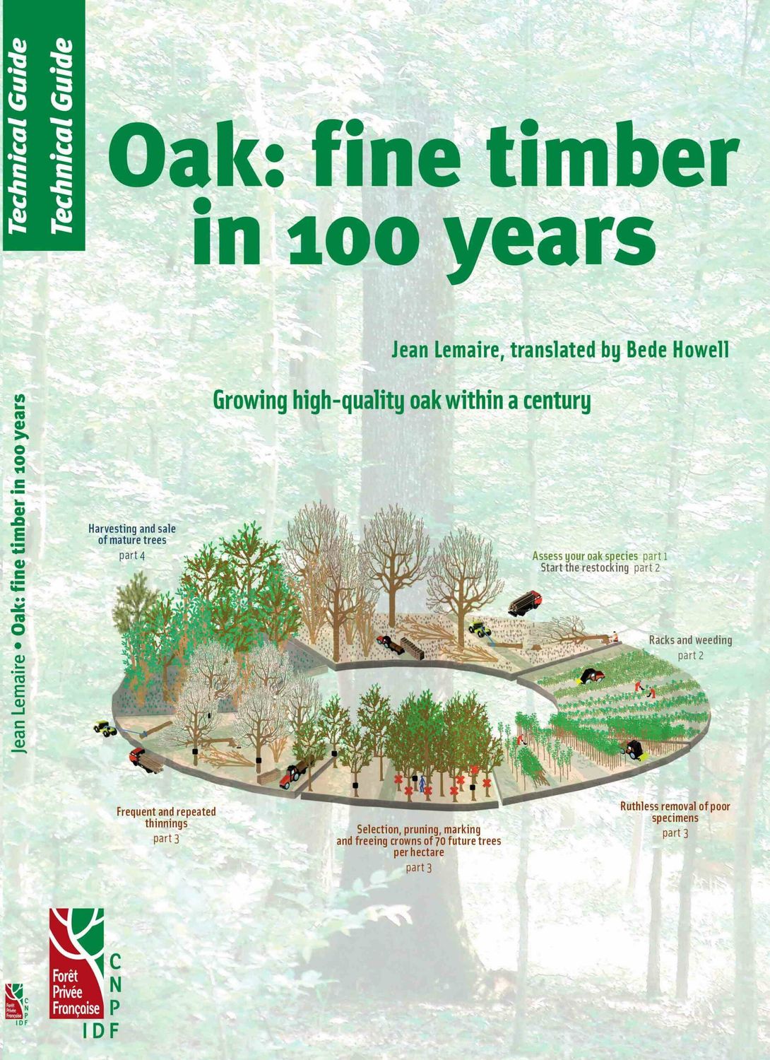 'Oak: Fine Timber in 100 Years' by Jean Lemaire, translated by Bede Howell