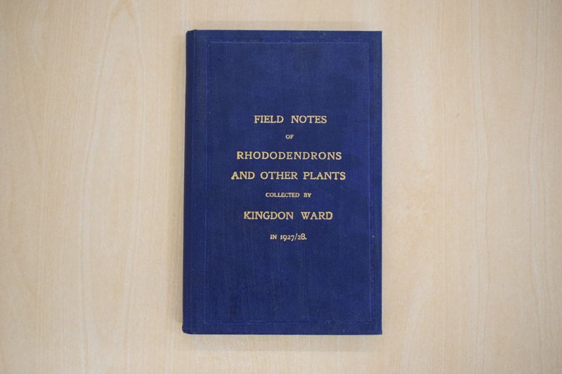 'Field Notes of Rhododendrons and other Plants' by Kingdon Ward