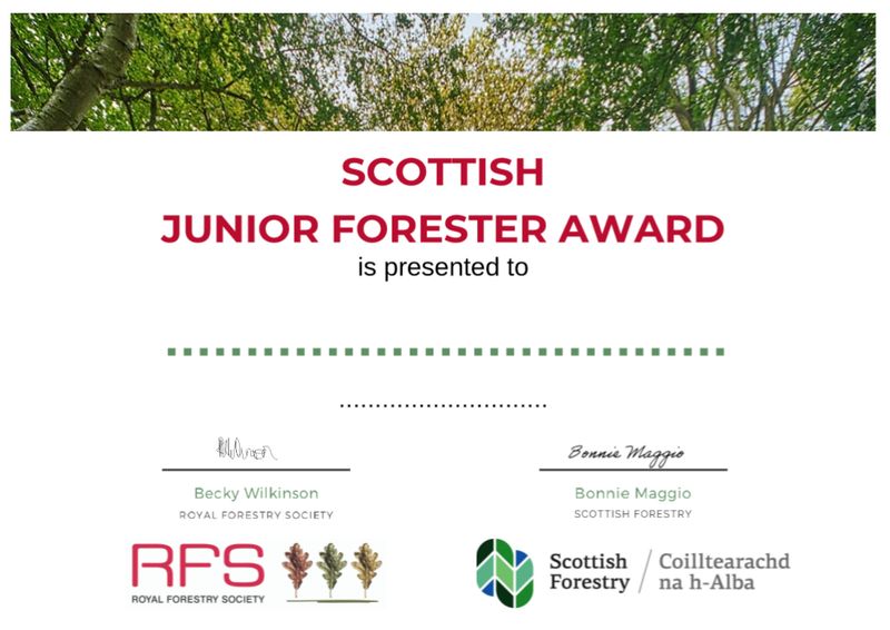 Scottish Junior Forester Award Certificate