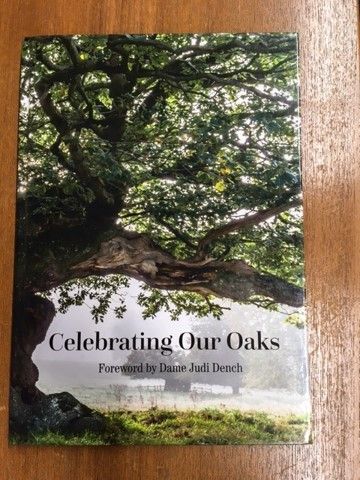 Celebrating our Oaks Celebrating our Oaks
