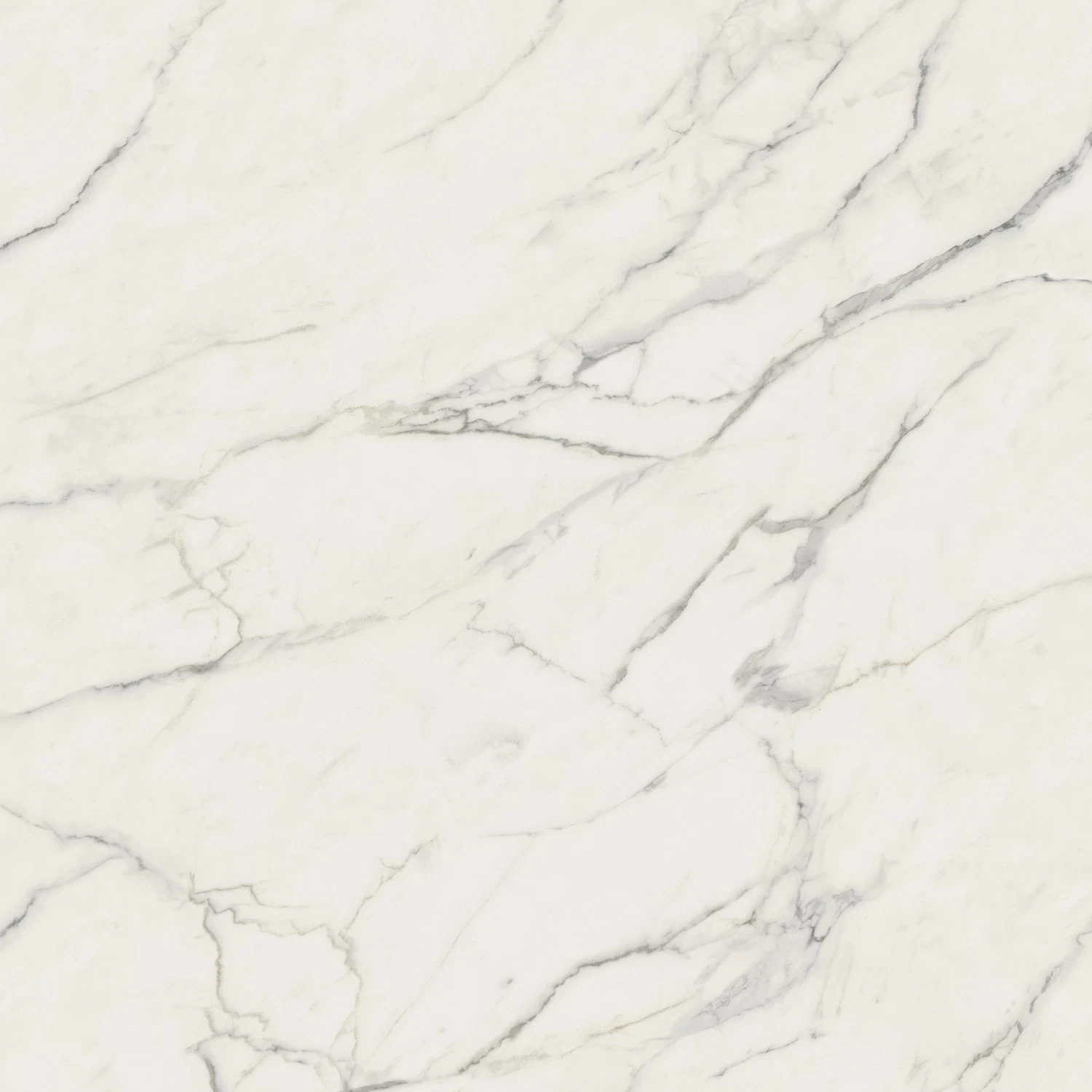 CALACATTA STAT. POLISHED