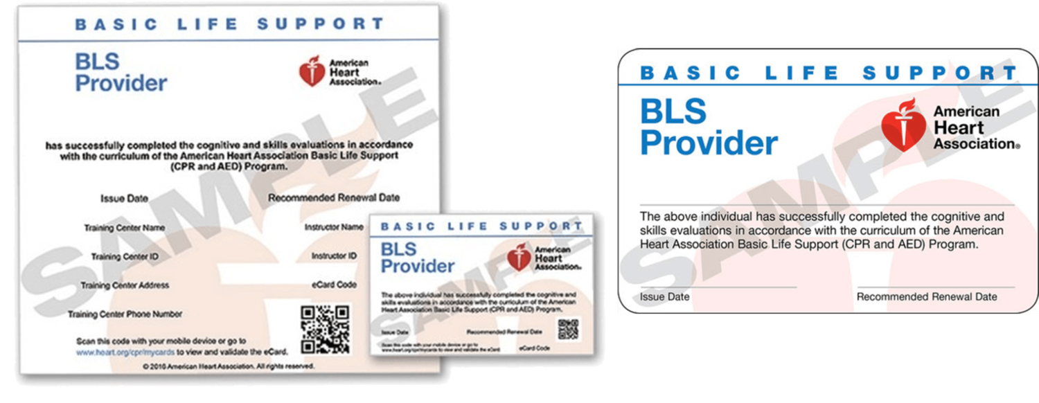 BLS Renewal Course Payment | Rapid CPR NJ