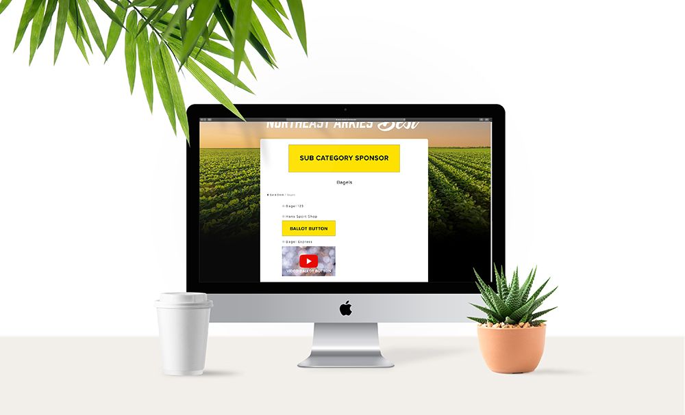 Voting Ballot Button