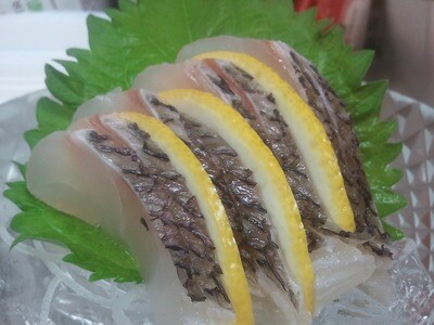 Madai Sashimi