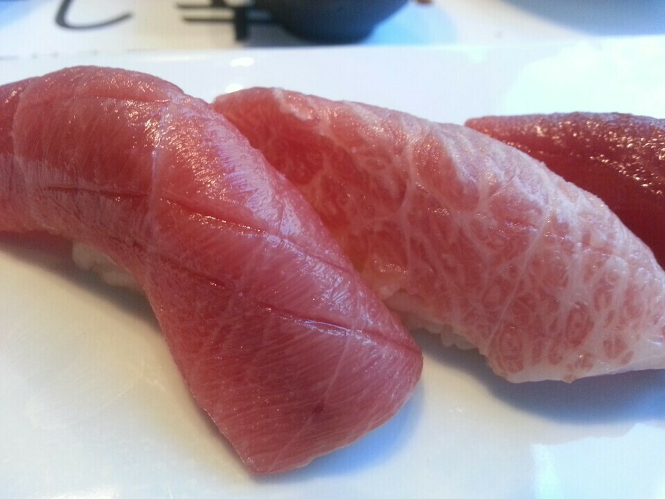 Bluefin