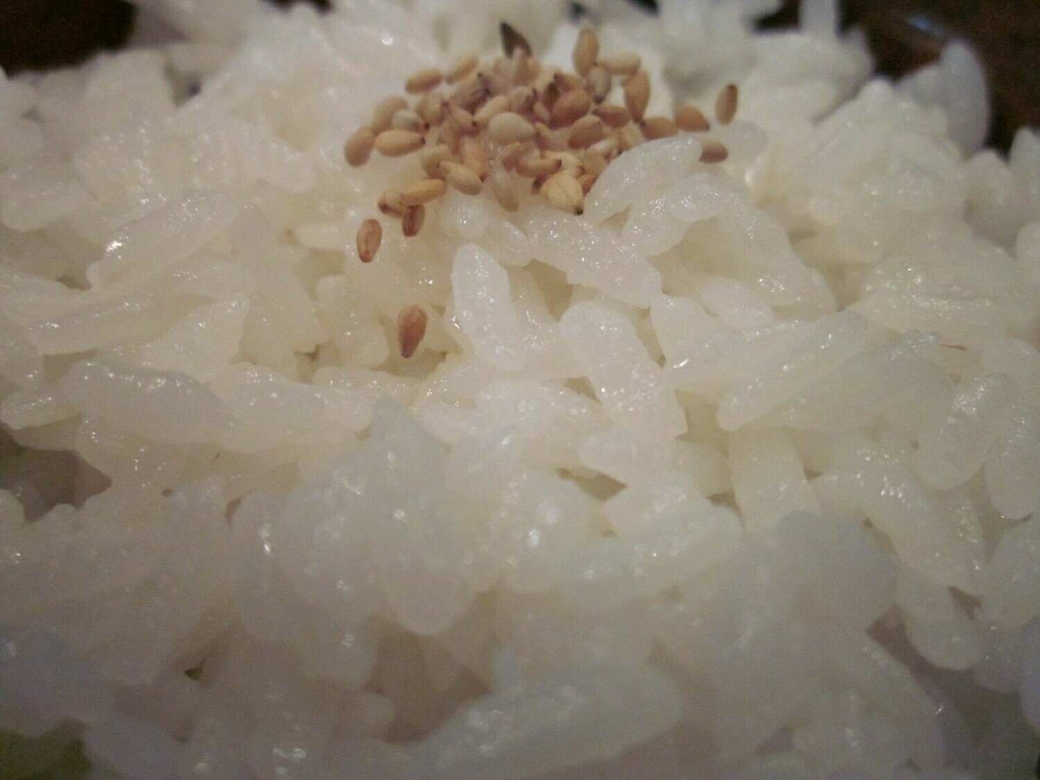 Sushi Rice