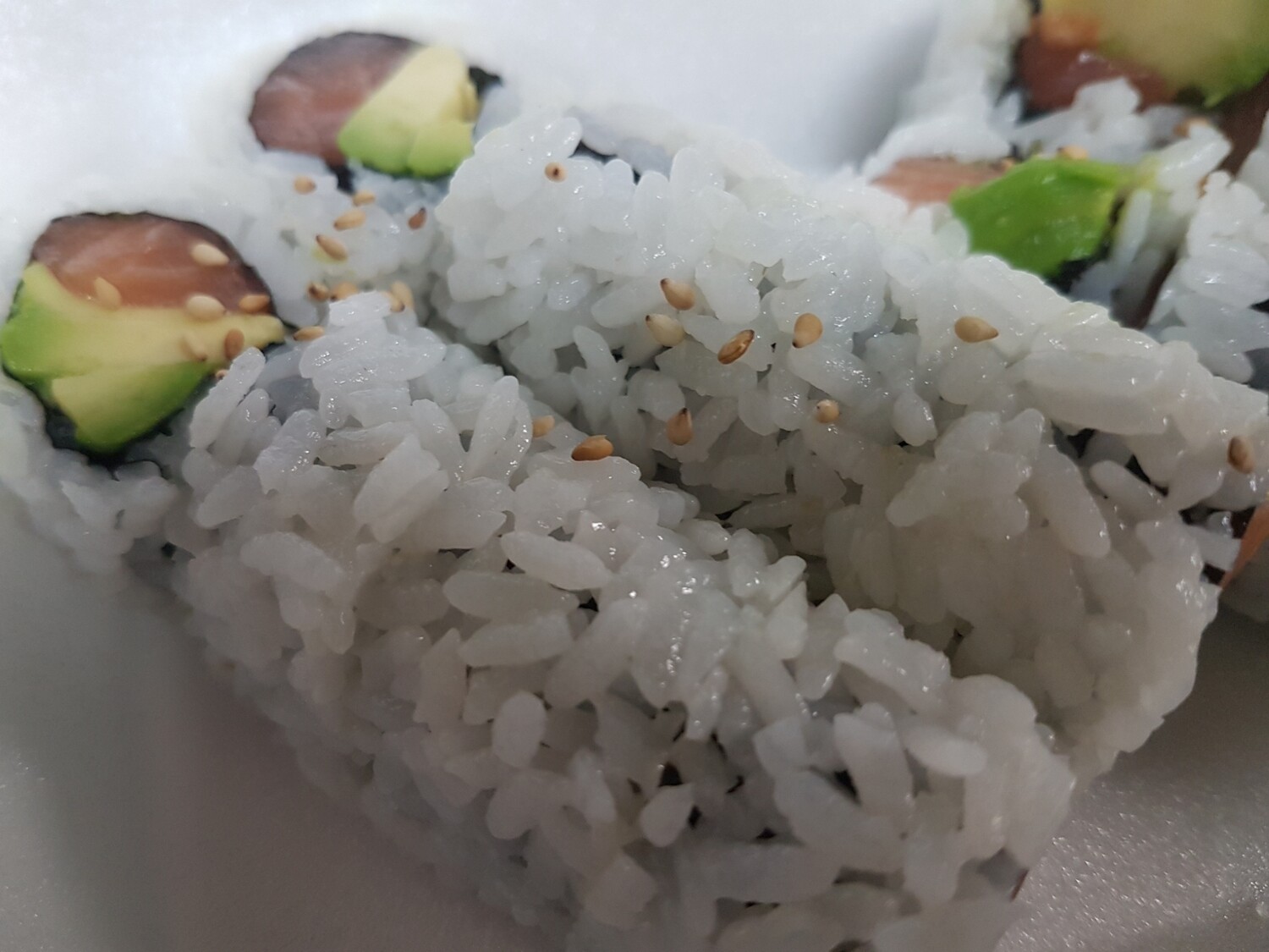 Salmon Avocado Roll