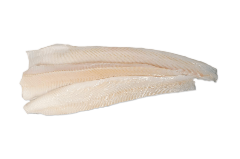 Heilbotfilet