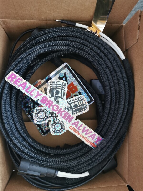 Zetec R8 COPs Harness