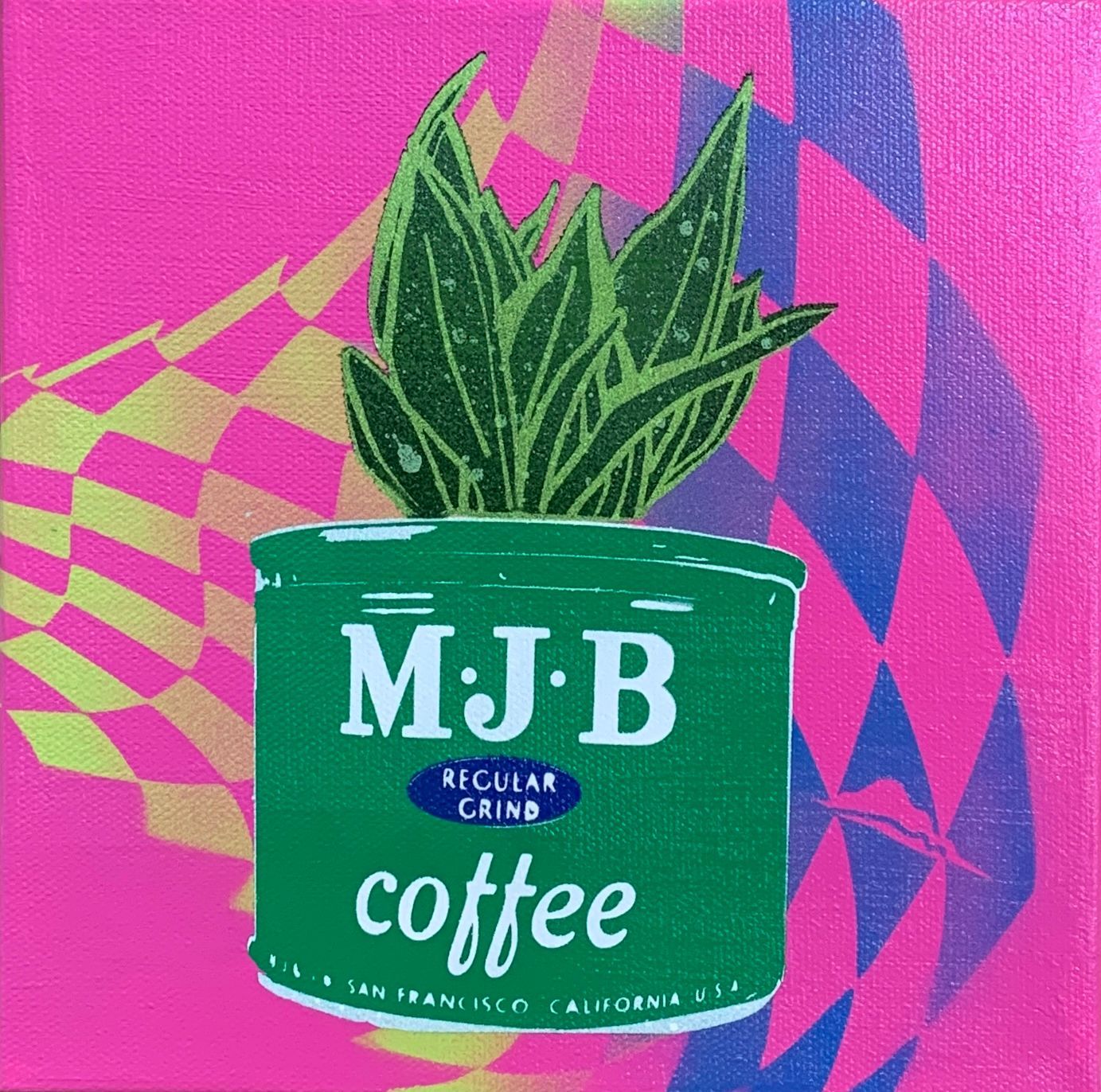Grandma’s Snake Plant (MJB)