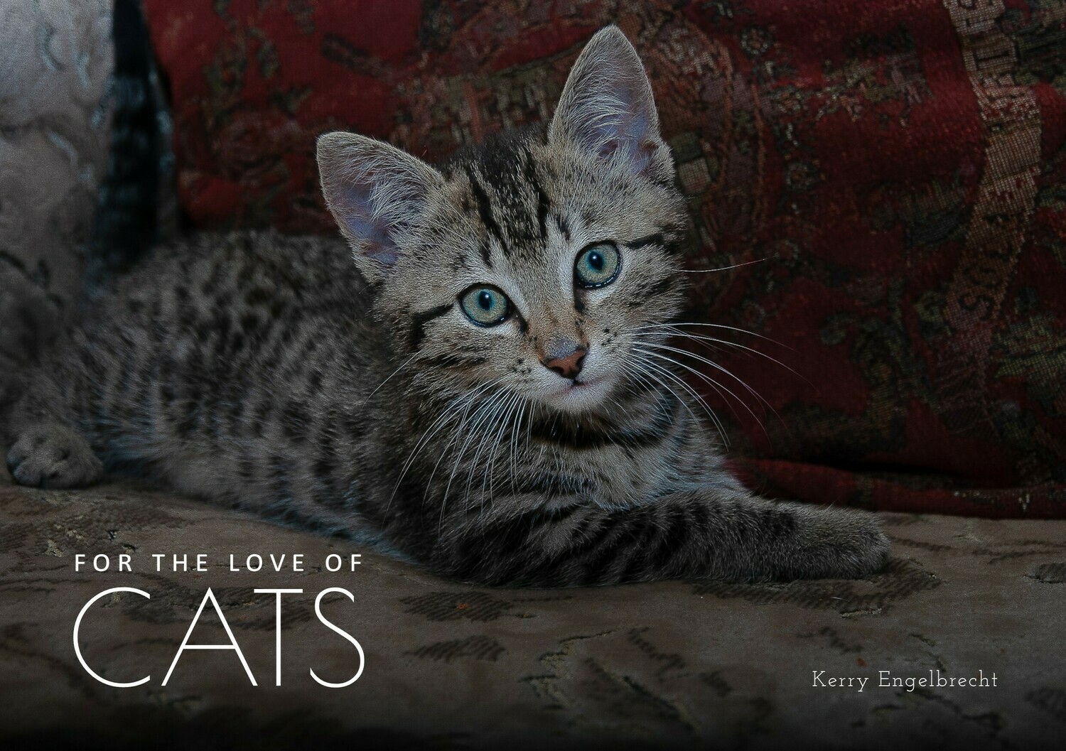 For the Love of Cats
