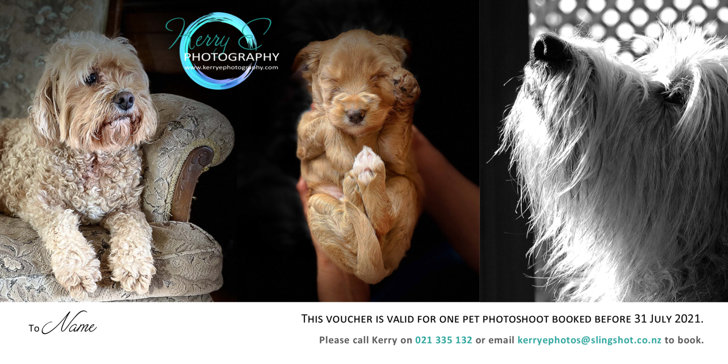 Pet portrait gift voucher (dog)