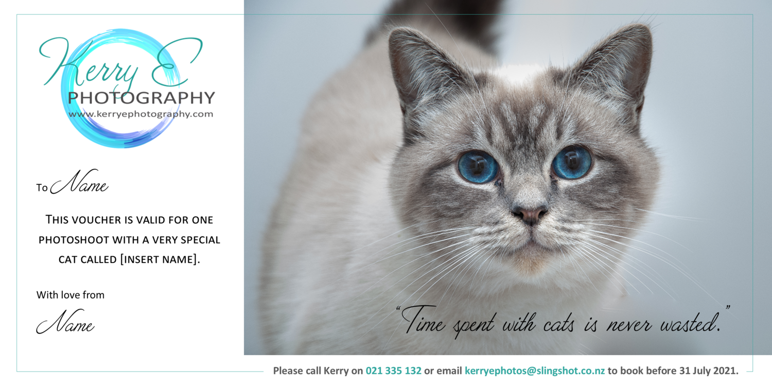 Pet portrait gift voucher (cat)