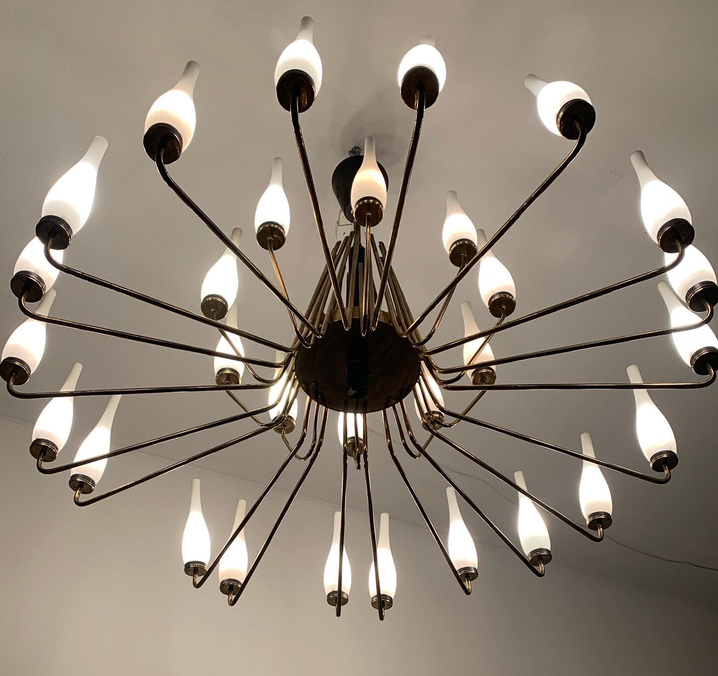 Raro lampadario anni 50