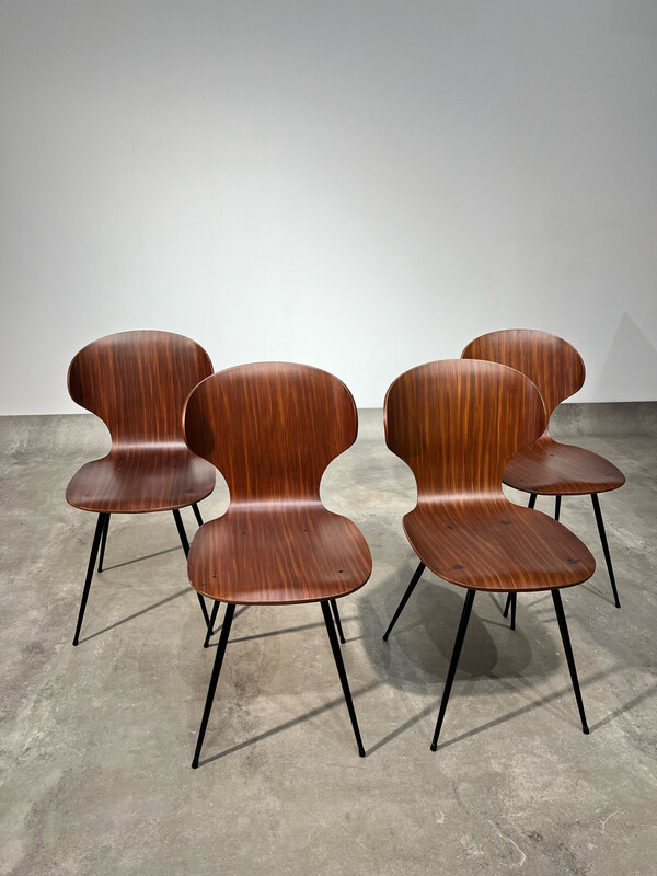 Quattro sedie anni 60’ Carlo Ratti