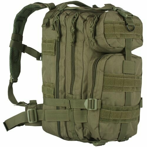 Bags - Transport Pack, Medium